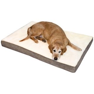 Happy Hounds Oscar Latte Large Orthopedic Dog Bed   #W6638