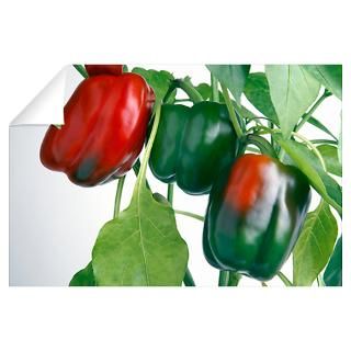 Wall Art  Wall Decals  Bell peppers Wall Decal