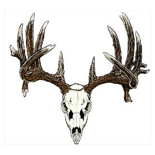 Wall Art > Posters > White tail deer skull drawing
