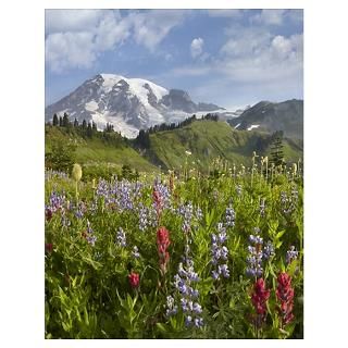 130 Hercules Mount St. Helens Washington USA Poster