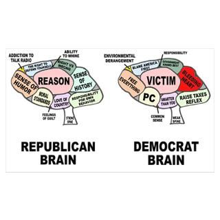 Wall Art  Posters  Republican Brain vs Democrat