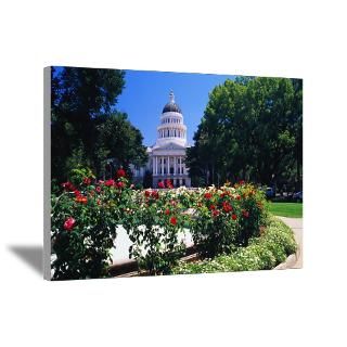 Wall Art  Canvas Art  Roses and California State