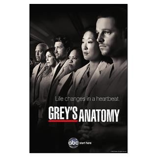 Greys Anatomy 2010 Large Poster