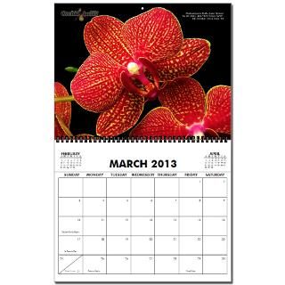 Orchid Board 2013 Wall Calendar (2009 Contest Photos) by orchidboard