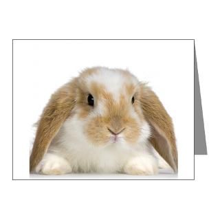 Bunny Gifts  Bunny Note Cards  Bunny Stuff Note Cards (Pk of 10)