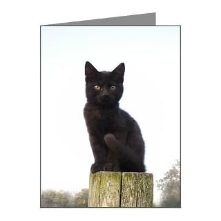 Gifts > Animal Note Cards > Black Kitty Note Cards (Pk of 20