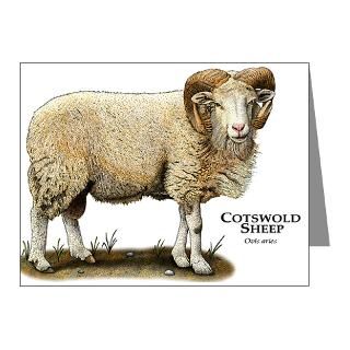 Gifts  Animal Note Cards  Cotswold Sheep Note Cards (Pk of 20