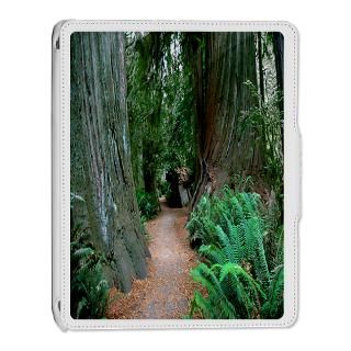 Redwood National Park iPad 2 Cover for $55.50