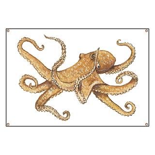 Octopus : Pet Drawings
