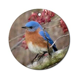 Bird Gifts  Bird Seasonal  Eastern Bluebird Ornament (Round)