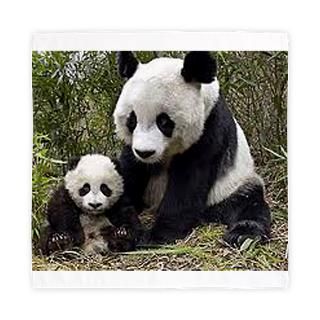 Mom and Baby Panda : Pet Drawings