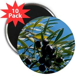 10 pack $ 24 00 sf bay trading co olives 2 25 magnet 100 pack $ 109 99