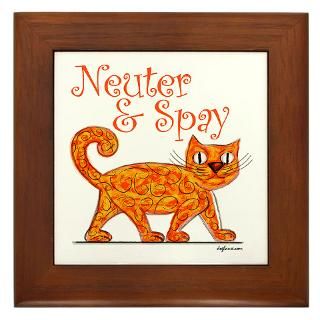 Silly & Cute   Neuter & Spay (Orange Cat)  Dog Hause Pet Shop