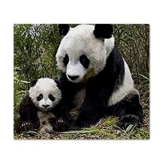 Mom and Baby Panda  Pet Drawings