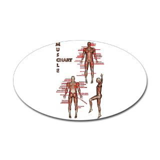 Muscle Chart Rectangle Sticker