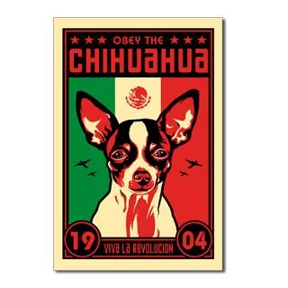 Chihuahua Dictator 1904  Obey the pure breed The Dog Revolution