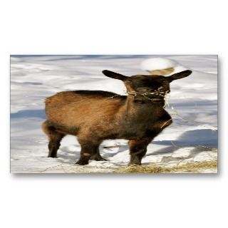 Goat farm business card