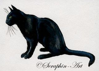 Original Watercolor Miniature Aquarell Katze Zeichnung Seraphin Art