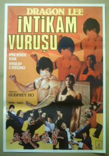 Turkish Drawing Karate Movie Poster Dragon Lee P Kim