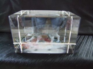 Crystal Laser Block or Paperweight Cat with Ball