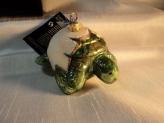 Kurt Adler JTTW Glass Turtle Christmas Ornament Coming Out of My Shell