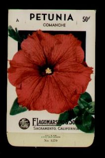 1940s Petunia COMANCHE Seed Packet F Lagomarsino Sons