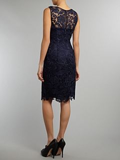 Adrianna Papell Evening Lace shift dress Navy   House of Fraser