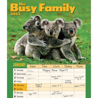 Busy Family 2013 Deluxe Wall Calendar