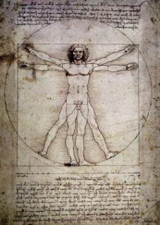 Man Proportions of The Human Figure Leonardo Da Vinci 1485