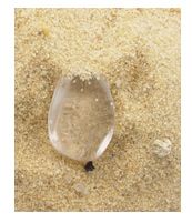 Cape May Diamond Tumbled Quartz Stones