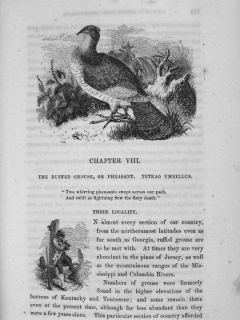 1857 Hunting Duck Geese Game Bird Ruffed Grouse Woodcock Quail Call