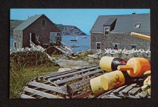 1960s Lobster Pots and Buoys on The Maine Coast Me Postcard
