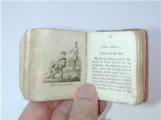 Book Short History of The Bible Illus Alfred Mills London 1811