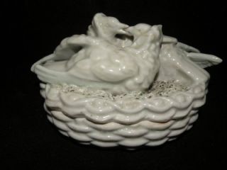 Porcelain Trinket Box Lovebirds Covered Box Coleslaw Nest