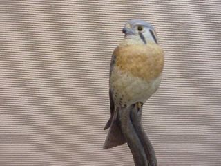 607 Finest Wood Bird Sculpture Hawk Signed Lloyd MacBride