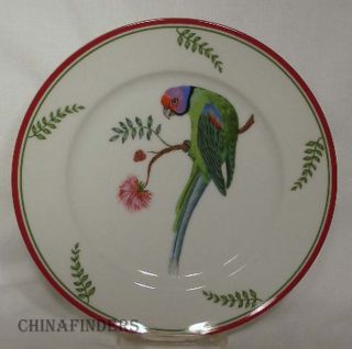 Lynn Chase China Parrots of Paradise Pattern Salad Dessert Plate