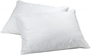 Aller Ease Dust Mite, Allergy, Waterproof Microfiber Pillow Encasement