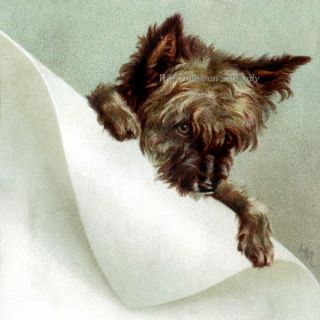 Maguire Cairn Terrier Dog Fabric Block Multi Sizes
