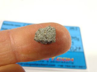 Meteorite Carancas H4 5 Observed Fall from Peru 0 27g