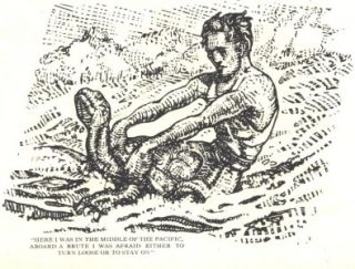 1929 C Illustrations Mahlon Blaine Turtle