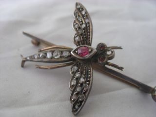 c1880 Victorian 9ct Gold Diamond Sapphire Ruby Dragonfly Brooch