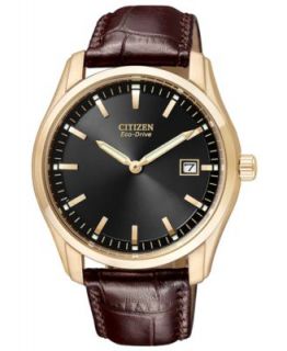 Citizen Watch, Mens Eco Drive Brown Leather Strap 26mm BW0072 07P