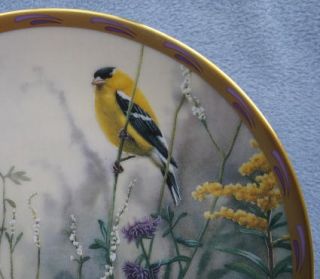 Golden Splendor Goldfinch Catherine McClurg Collector Plate