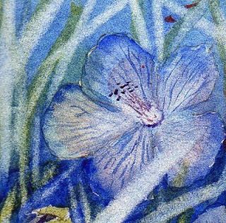 MEADOW CRANESBILL   original ACEO watercolour painting   3.5 x 2.5