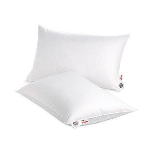 Pacific Coast Bedding, AllerRest Bed Bug Proof Pillow   Pillows   Bed