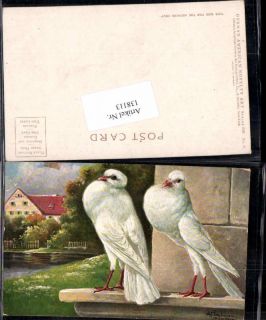 138113 Alfred Schoenian Tauben Jagd Motiv Vogel Brieftauben pub