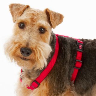Top Paw® Luxurious Nylon Dog Harnesses   Harnesses   Collars, Harnesses & Leashes