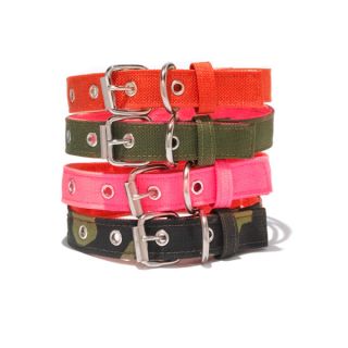 Wagwear Cordura Dog Collar   Collars, Harnesses & Leashes   Dog