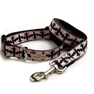 Designer Nylon Dog Collars