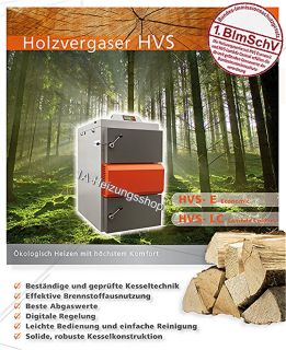 Holzvergaser Vigas Solarbayer HVS 40 LC Lambda BAFA NEU